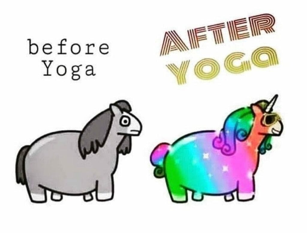 habits a cartoon on the left is a grey pony and the words 'before yoga' on the right a rainbow colored unicorn and 'after yoga' habits