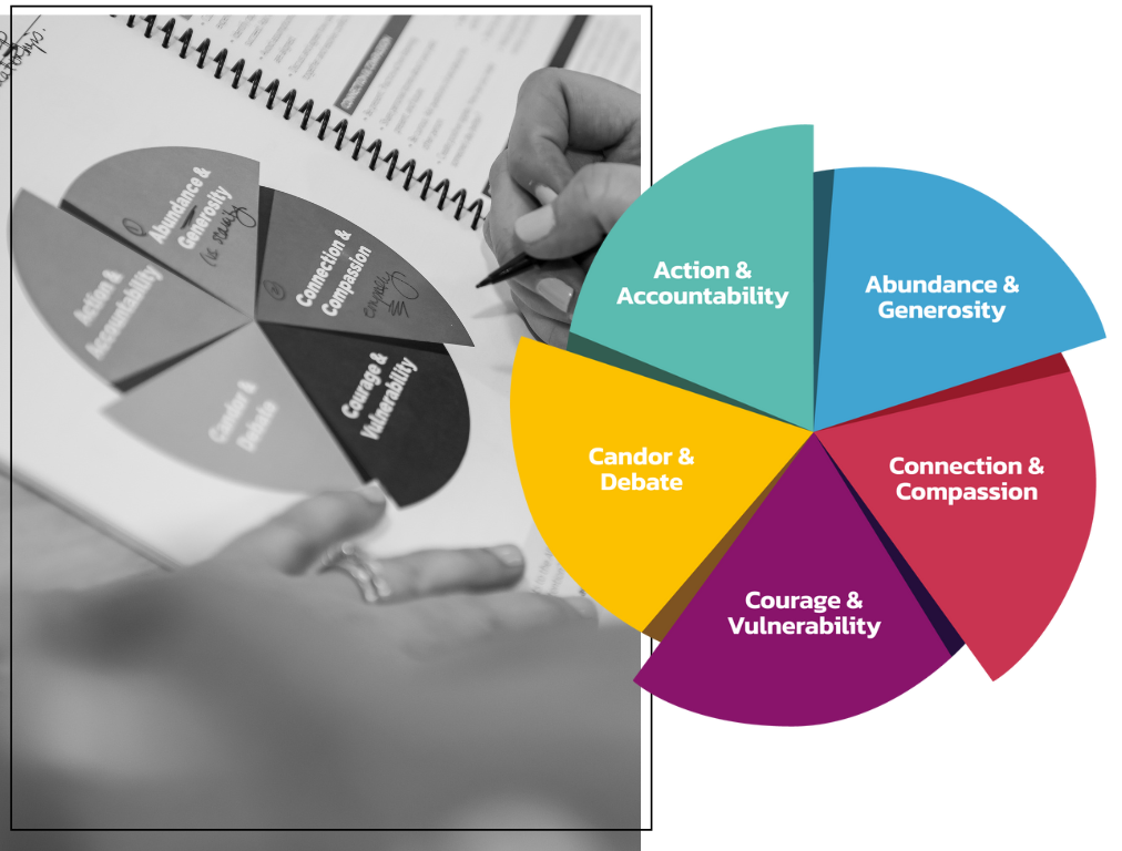 ally mindset profile 2024, abundance & generosity, Connection & Compassion, Courage & Vulnerability, Candor & Debate, Action & Accountability