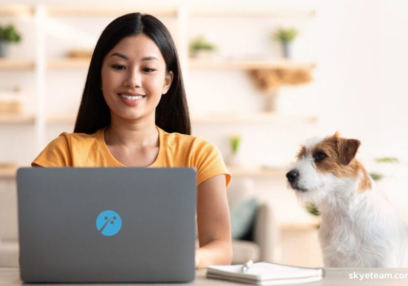skyeteam workplace connection
