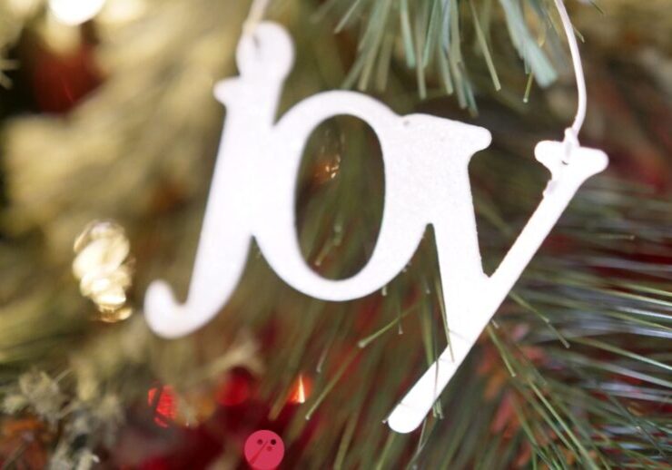 SkyeTeam Workplace Joy